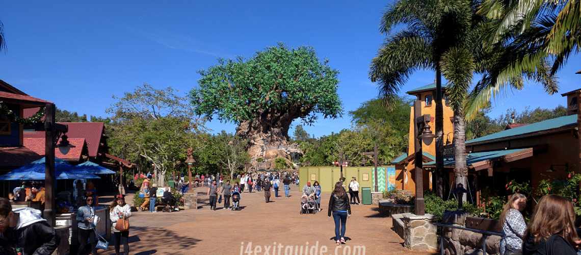 960x480-disneys-animal-kingdom
