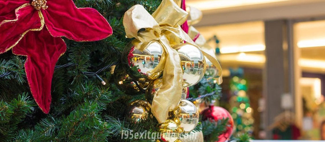 image-.jpg
