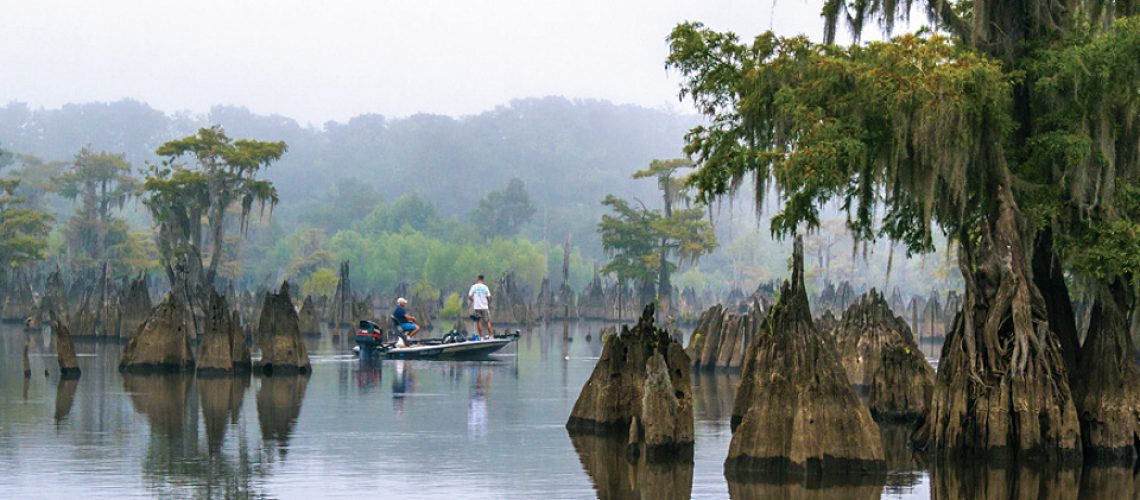 image-.jpg