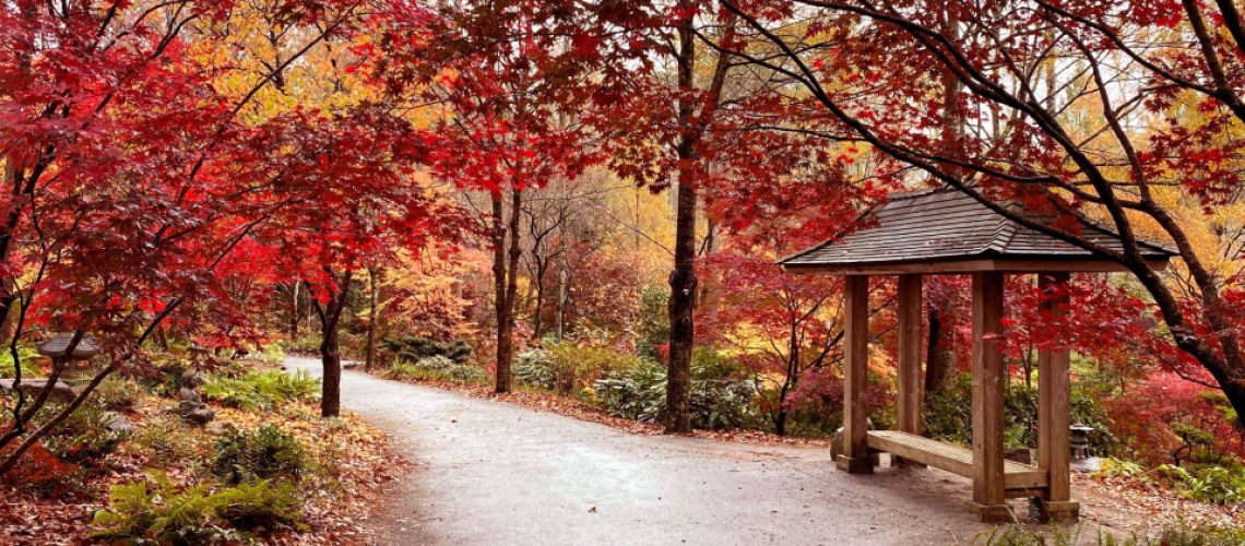 image-.jpg