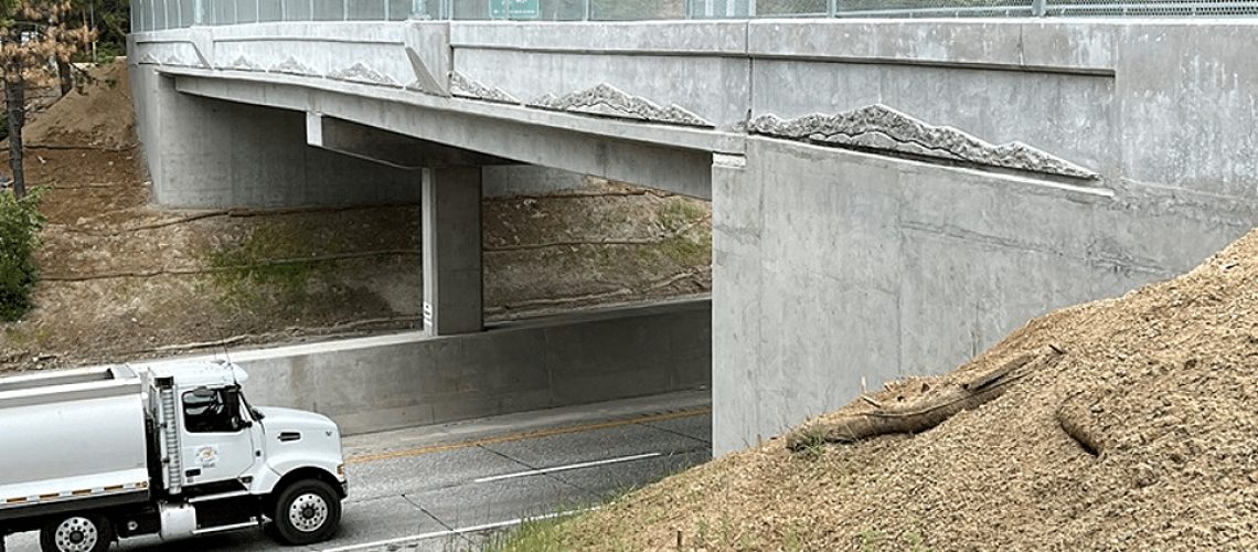 image-.jpg